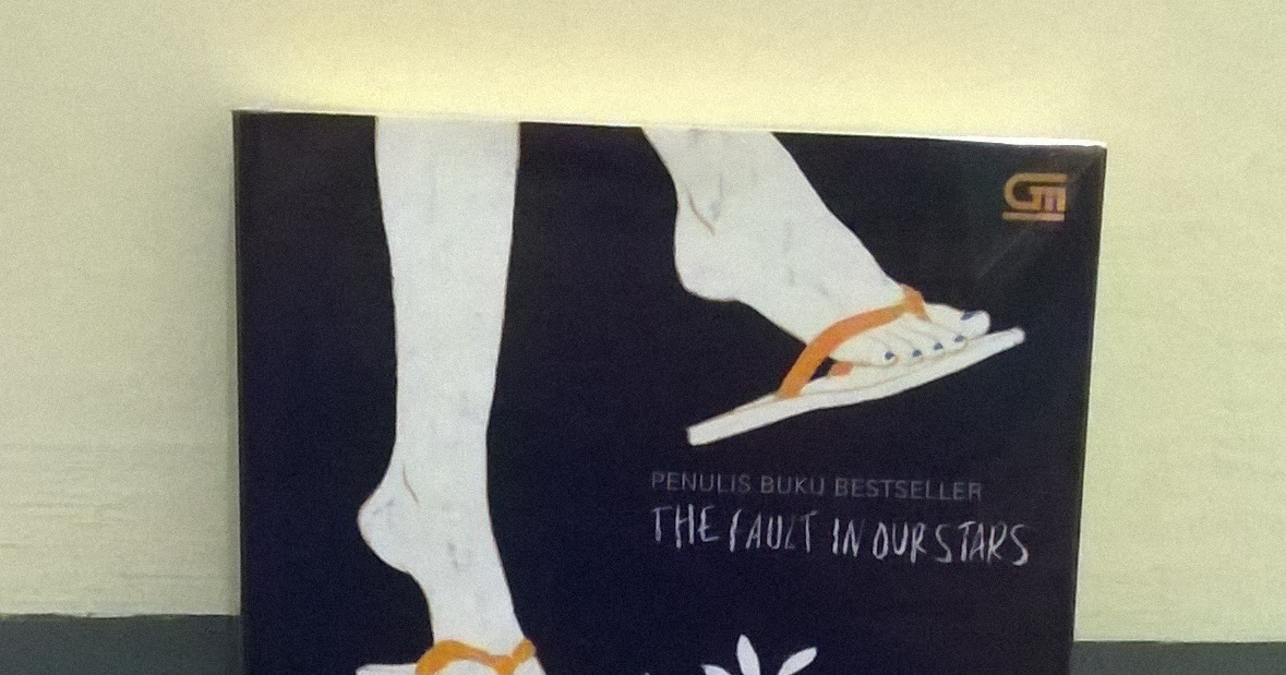 Resensi Buku Looking for Alaska