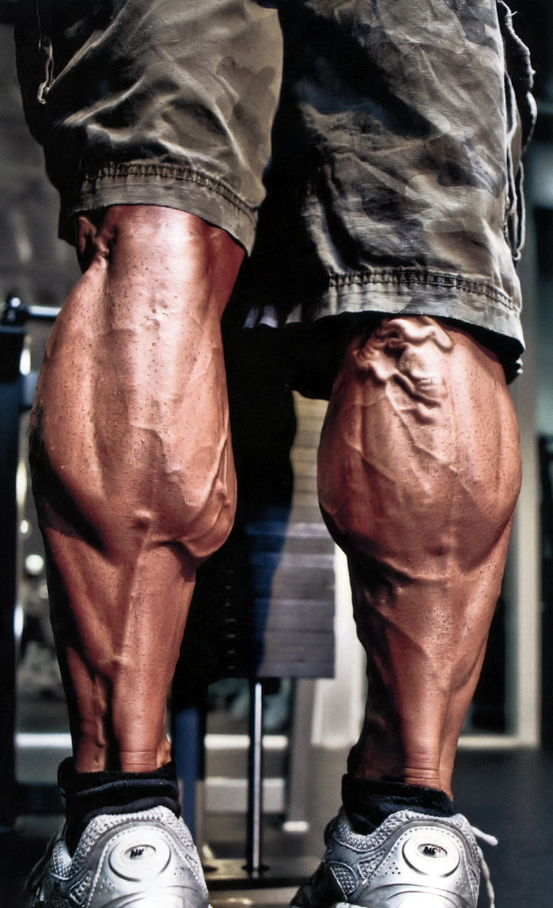 Сильные икры ног. Накачать икры. Икры ног. Огромные икроножные мышцы. Гипертрофированные икроножные мышцы.
