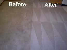 Carpet Cleaning Greenville NC – Environment friendly cleaning methodologies
