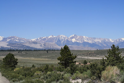 Living and Dyeing Under the Big Sky: High Sierra Mountains