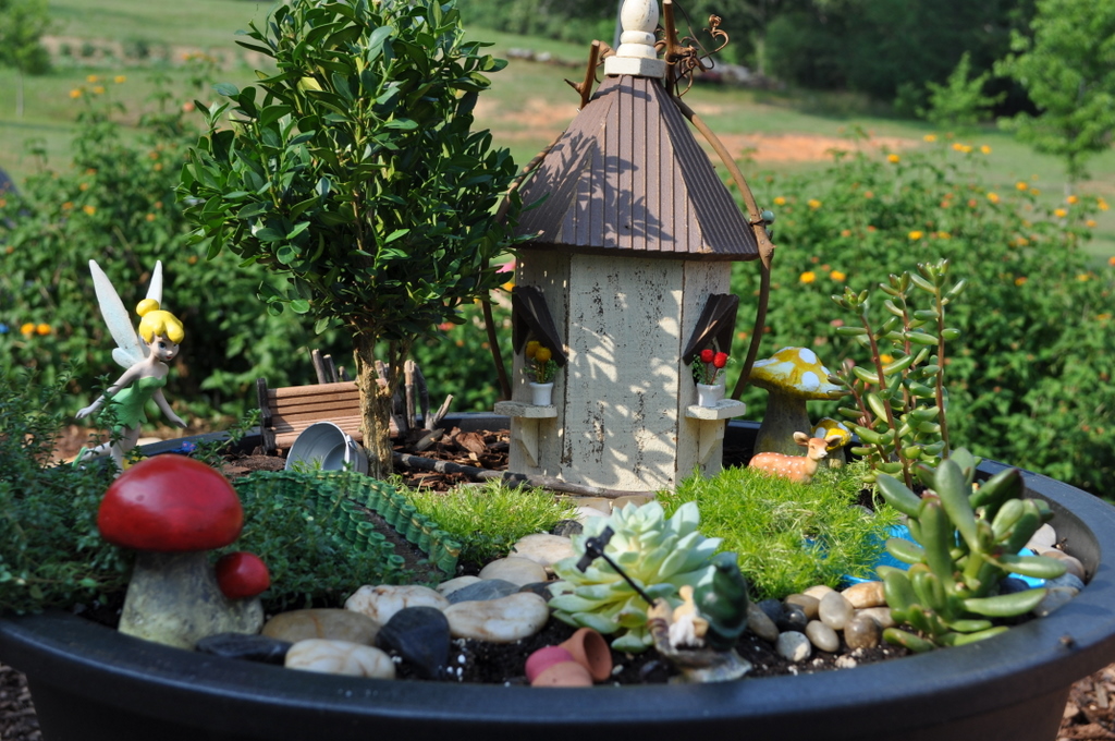 Design to Shine My Fairy Garden