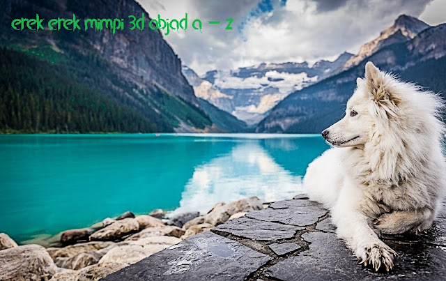 Erek Erek 3d Mimpi Hewan Abjad A Z Lengkap