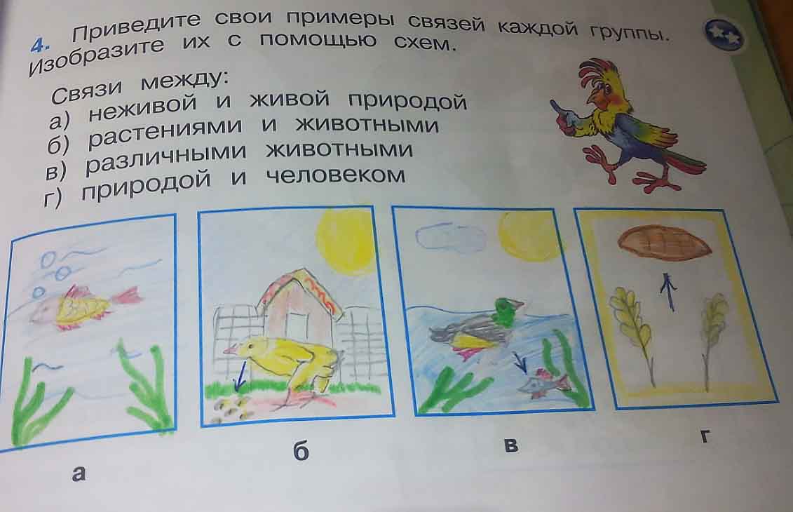 Окружающий мир 1 класс плешаков страница 24. Вязь между живой и не живой природой. Связь между живой и неживой природой. Связь между живой и неживой природой рисунок. Связь между природой и человеком рисунок.