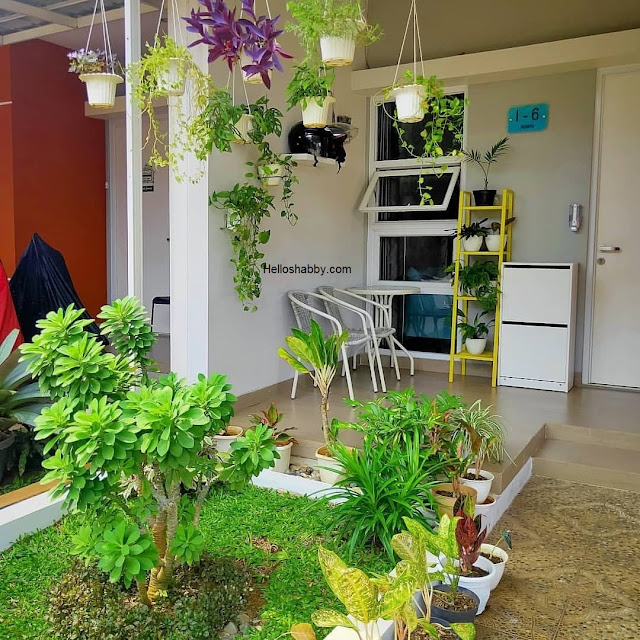 Desain Taman Rumah Minimalis dengan Lahan 1 x 1 M ~ HelloShabby.com
