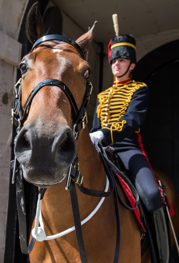 Assoluta Tranquillita UK On Guard for the Queen