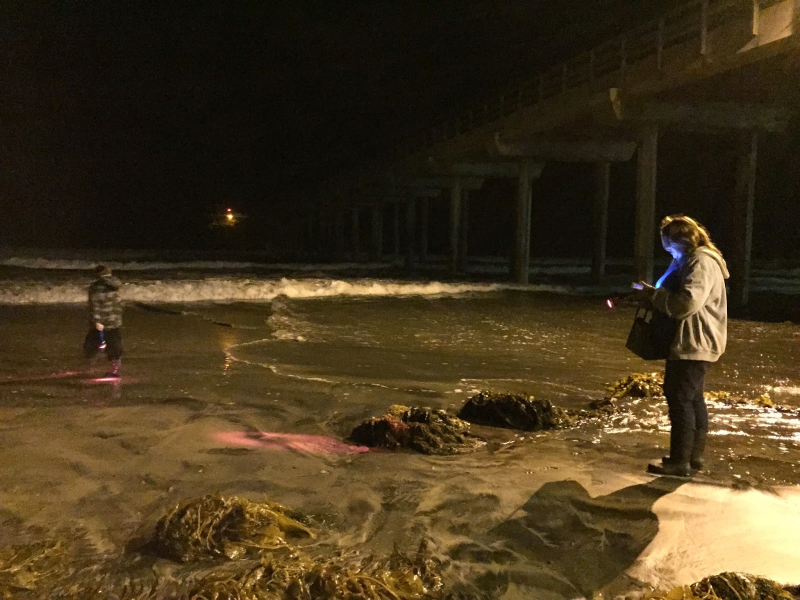 Traveling Cynthia San Diego Birch Aquarium at Scripps Institute of