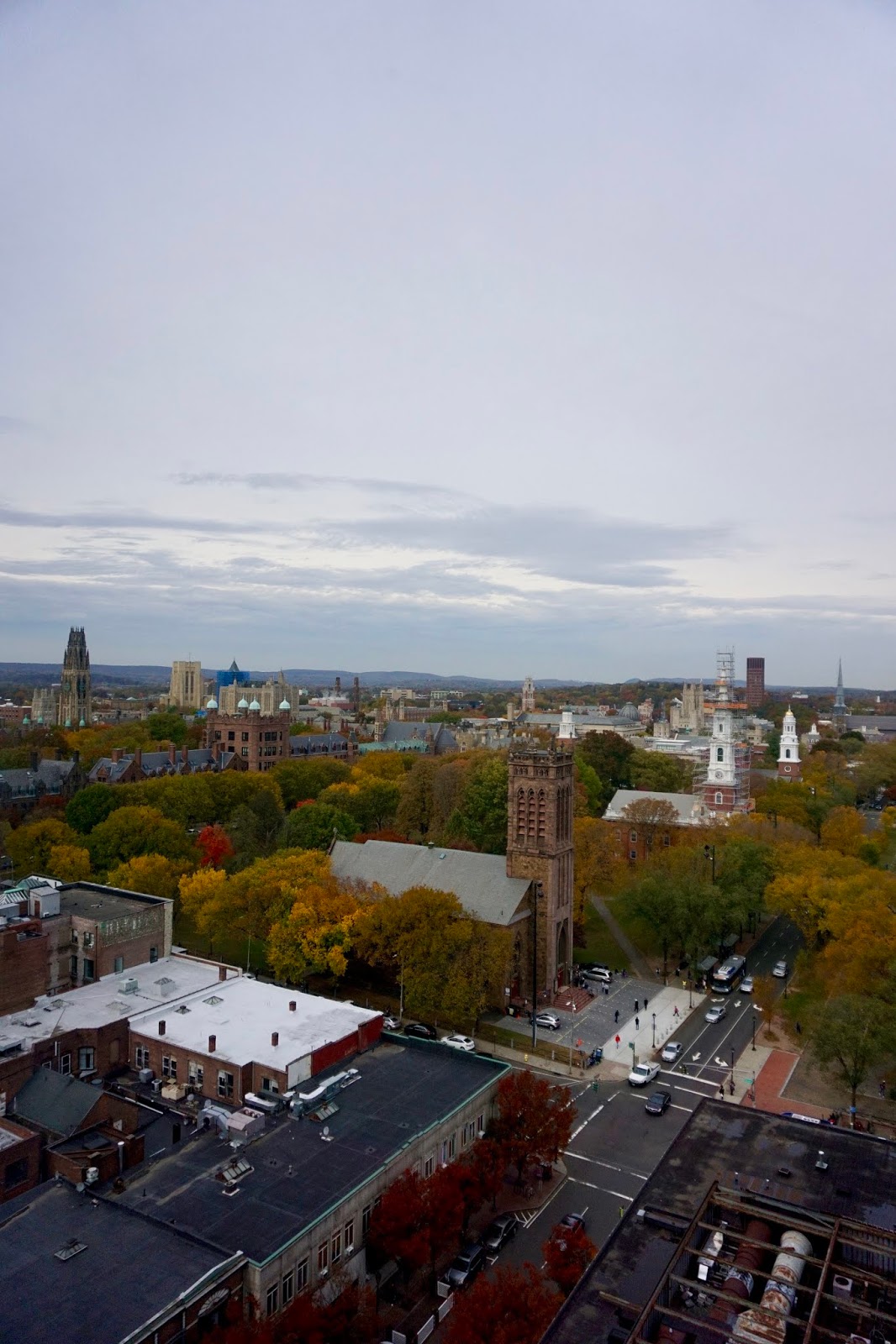 Only have 24 hours In New Haven, CT? Here's Where You Have To Eat, What