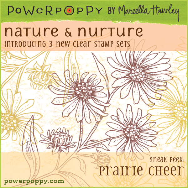 http://powerpoppy.com/products/prairie-cheer
