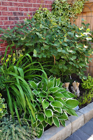 Three Dogs in a Garden: Ideas for Small Outdoor Spaces that can be used ...