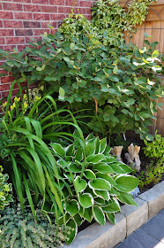 Three Dogs in a Garden: Ideas for Small Outdoor Spaces that can be used