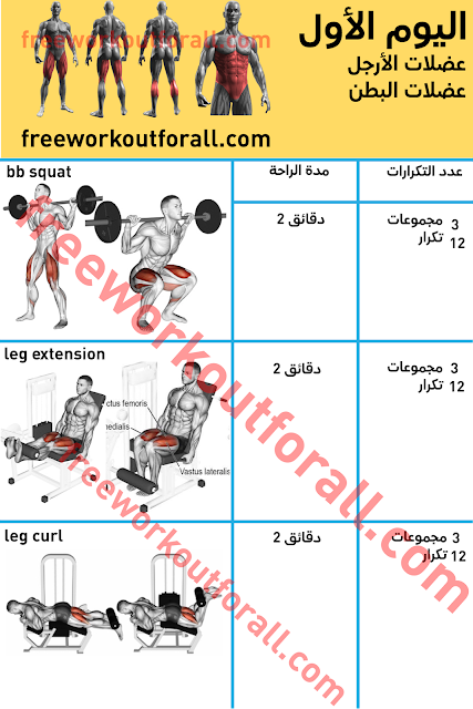 جدول تمارين كمال الاجسام 5