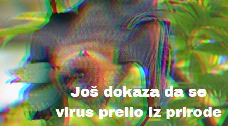 Slika