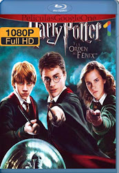 harry 1080p fenix brrip lachapelhd orden ingles googledrive latino potter 2007 peliculas mkv sbs 720p 4k drive google