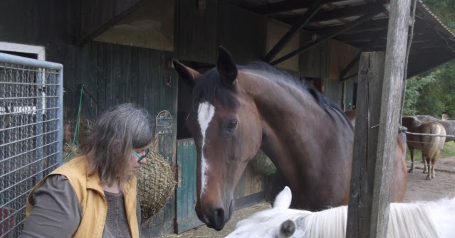 Pferde, unsere stolzen Freunde: Claudia Nehls, ihre Stute Sina und ihre