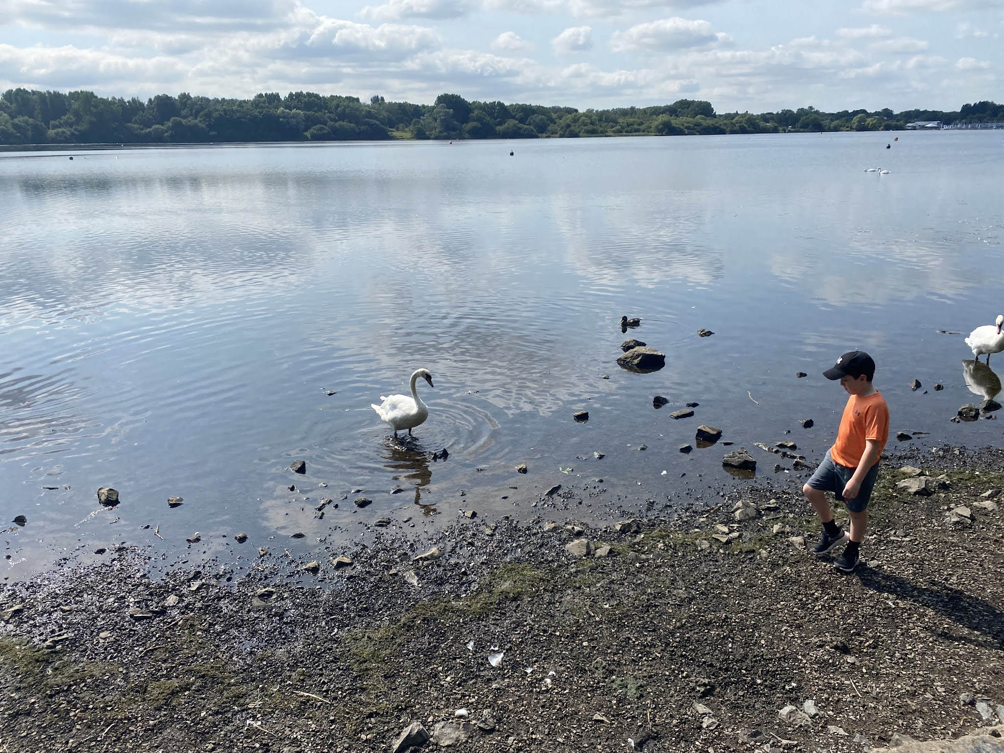 boy walking alongside a lake