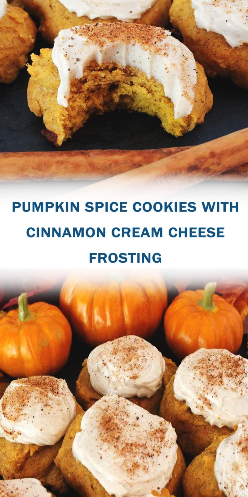 PUMPKIN SPICE COOKIES WITH CINNAMON CREAM CHEESE FROSTING