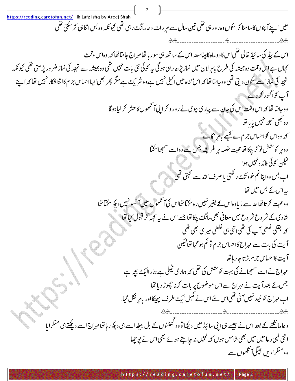 areej shah novel
