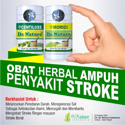 OBAT PENYAKIT STROKE