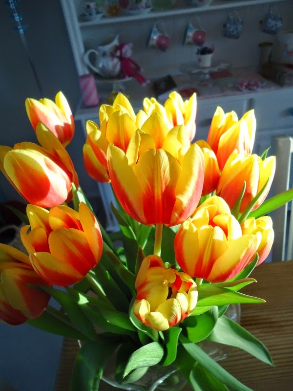 Tulips: Dinki Dots