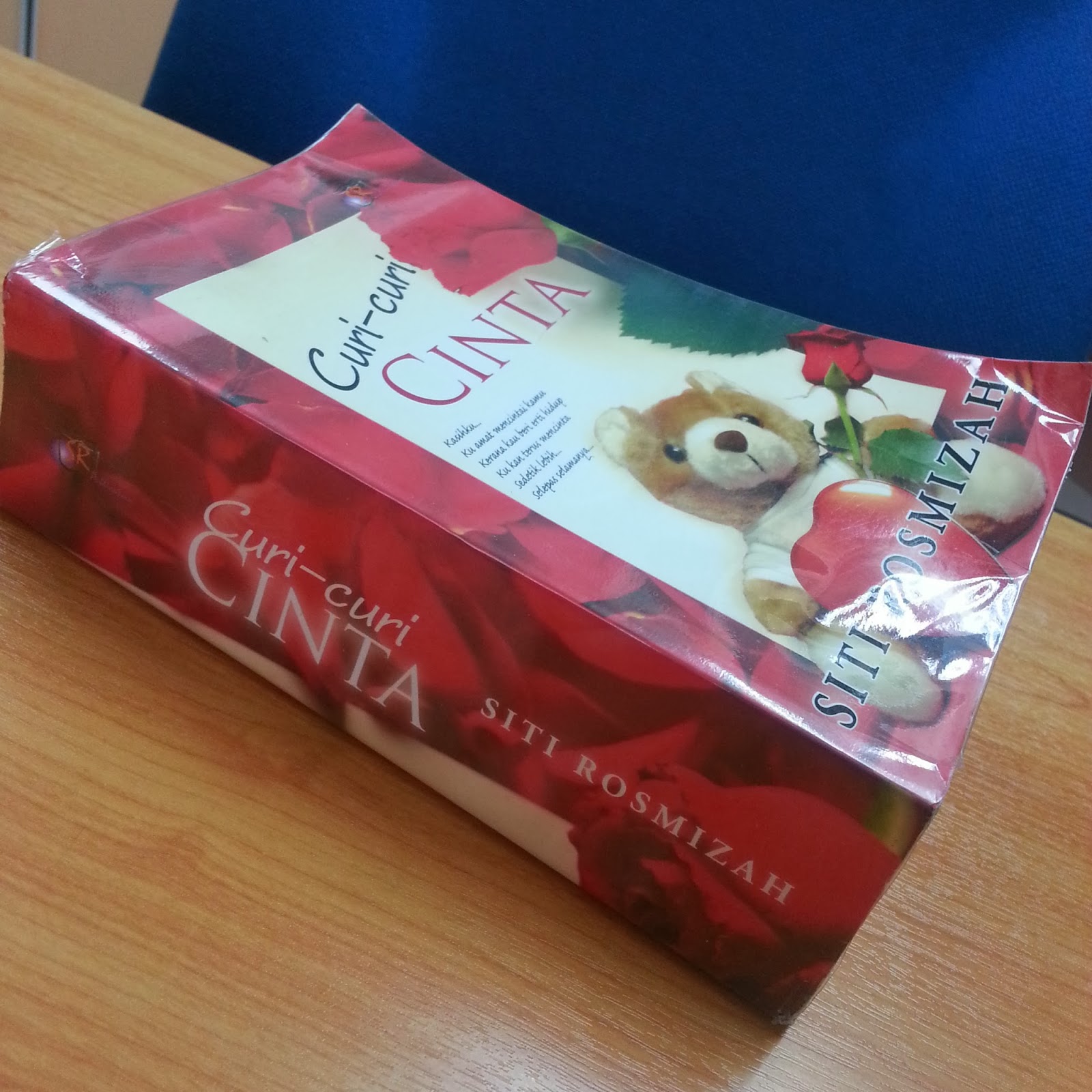 Hanya Sekadar Hobi Novel Curi Curi Cinta