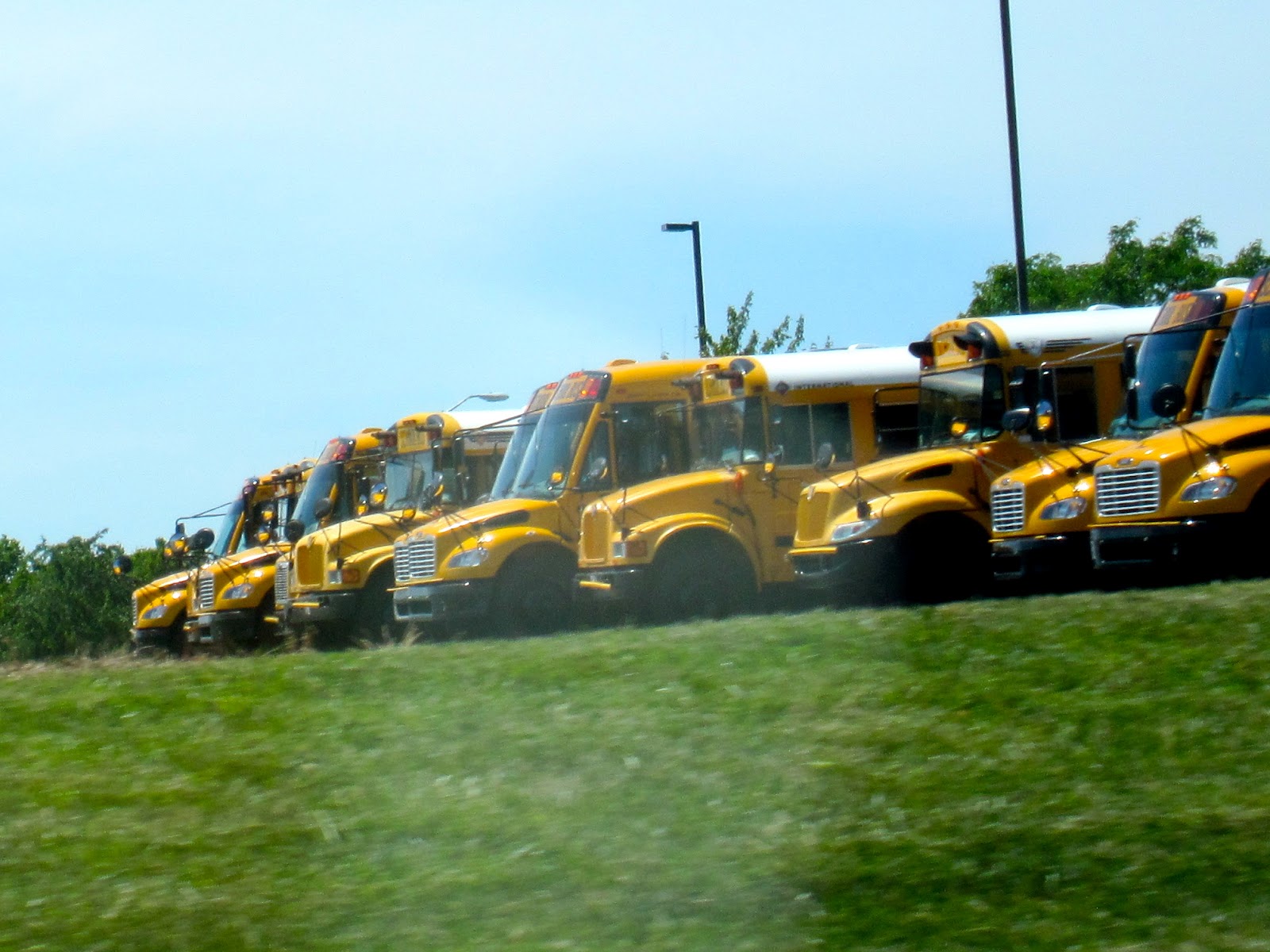 Some Opportunities Cottonwood Point Elementary