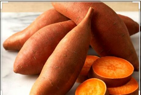البطاطا الحلوة .. تعرف على فوائدها وأضرارها 