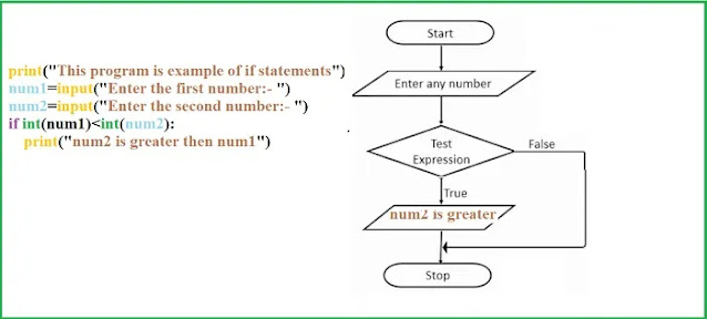 Python if statement | Flow chart