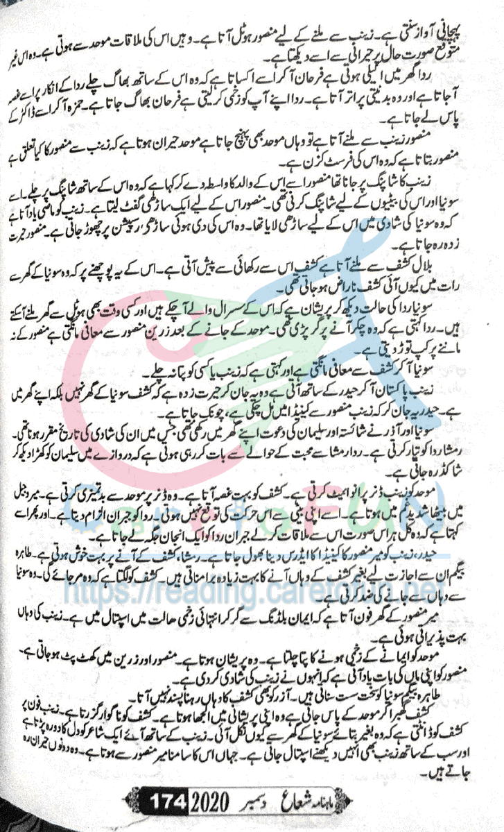 Sham Ki Haveli Main By Rukhsana Nigar Adnan Episode 24