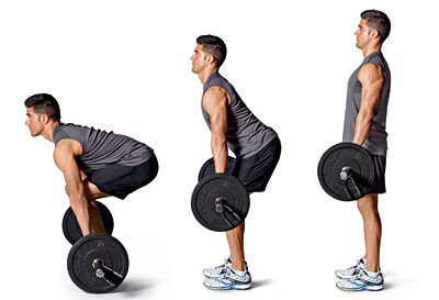 ÙØªÙجة Ø¨ØØ« Ø§ÙØµÙر ع٠âªBarbell Deadliftâ¬â