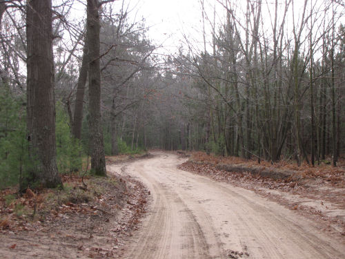 Old Freesoil Road
