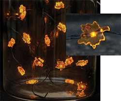 string autumn lights strings