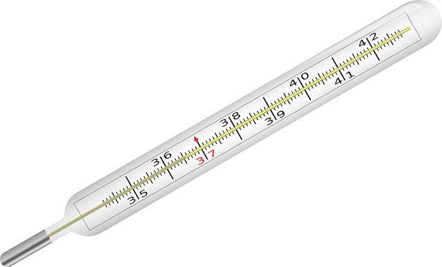 Fieberthermometer