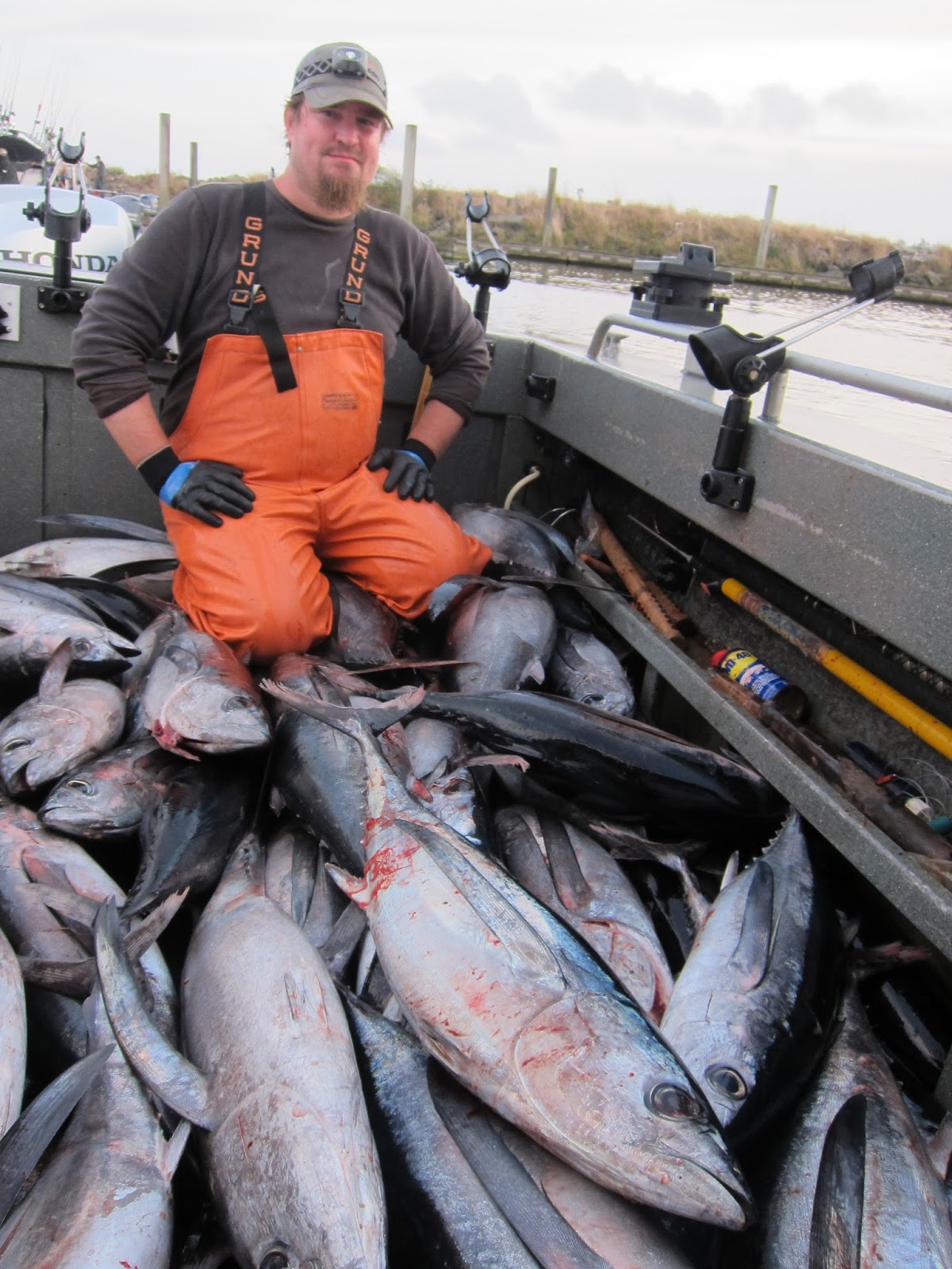 Todds Extreme Fishing ilwaco tuna!