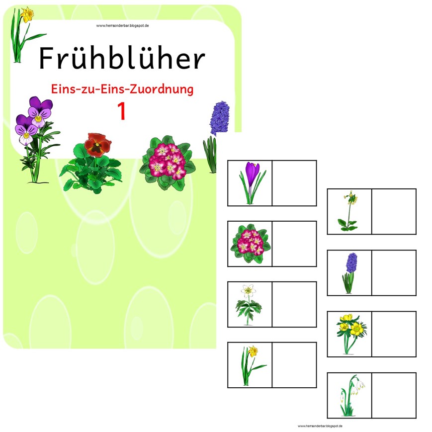 Herr Sonderbar Frühblüher (Klettmappen)