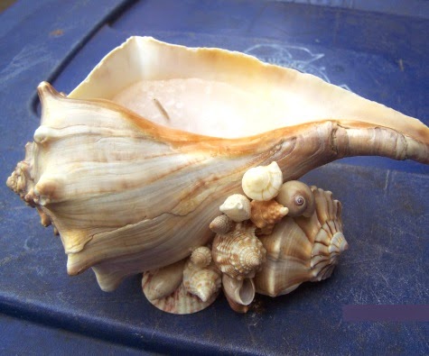 shell candle