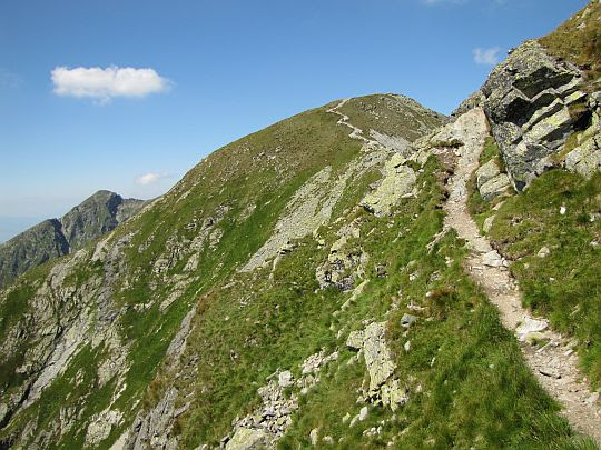 Zbocze Szerokiej Kopy (słow. Tretia kopa). Zbocze Szerokiej Kopy (słow. Tretia kopa).