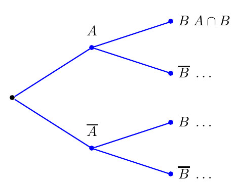 MathsDG Arbre de probabilités (Maj)