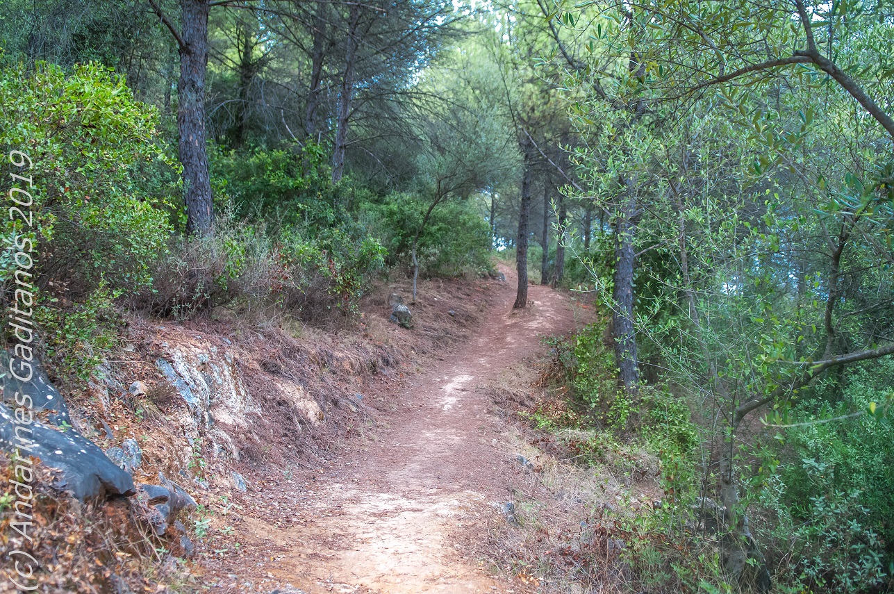 Foto de Sendero Cerro Verdugo en Prado del Rey, Cádiz