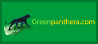 greenpanthera, paypal, ankiety 2019, badania rynku, najlepiej patne ankiety