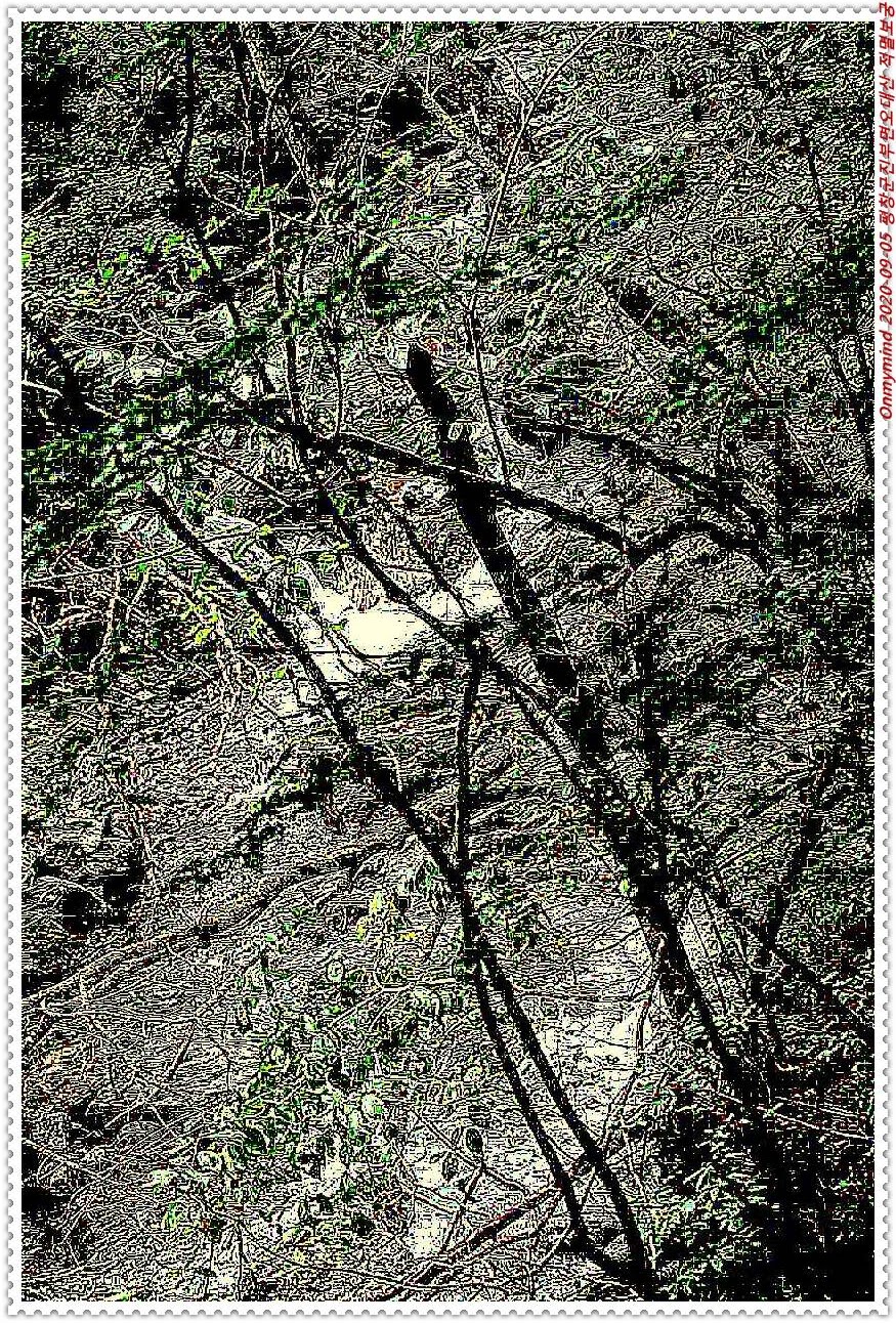 오대산 적멸보궁 오대산 적멸보궁