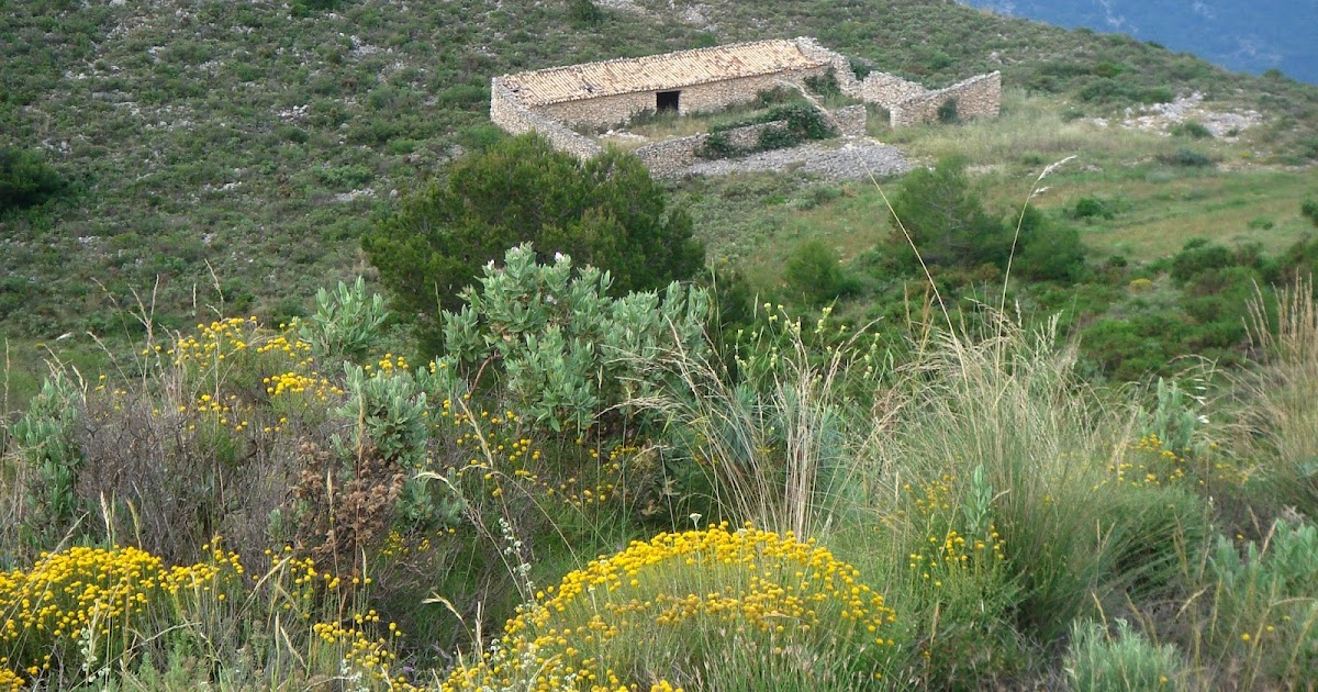Arquitectura Rural Valenciana: Los corrales, una estructura exenta o