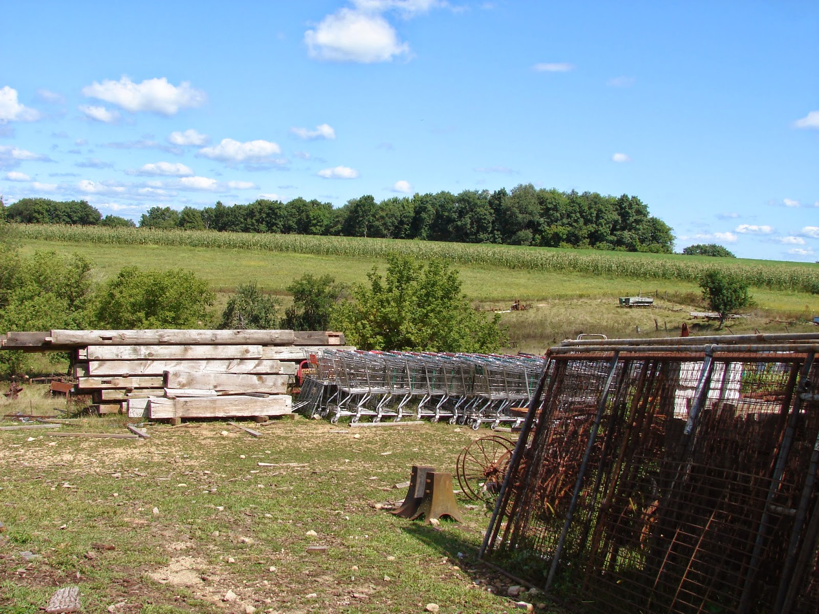 Roads Less Traveled Amish Walmart