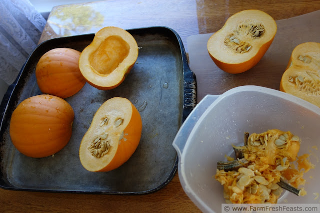 http://www.farmfreshfeasts.com/2012/09/processing-pile-of-pumpkins.html