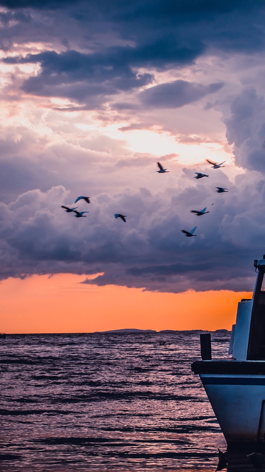 sea-sunset-birds-sky-ocean-ship-nature-blue-iphone6-plus-wallpaper.jpg