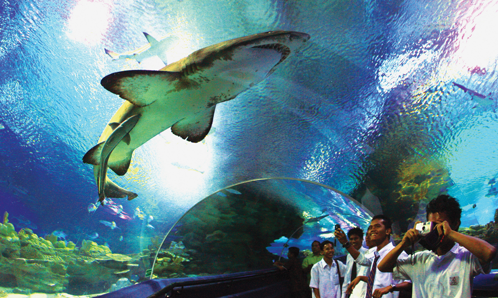 พิพิธภัณฑ์สัตว์น้ำ Aquaria KLCC อาหาร สถานที่ท่องเที่ยว การเรียน ภาษา