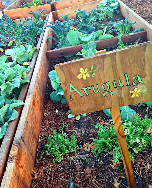 Promise of Peace Community Garden