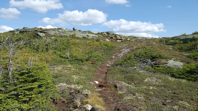 Près du sommet du mont Elie