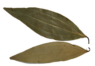 Indian Bay Leaf, Tej Patta, tal patra