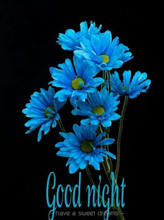 good night sms | good night image | good night picture