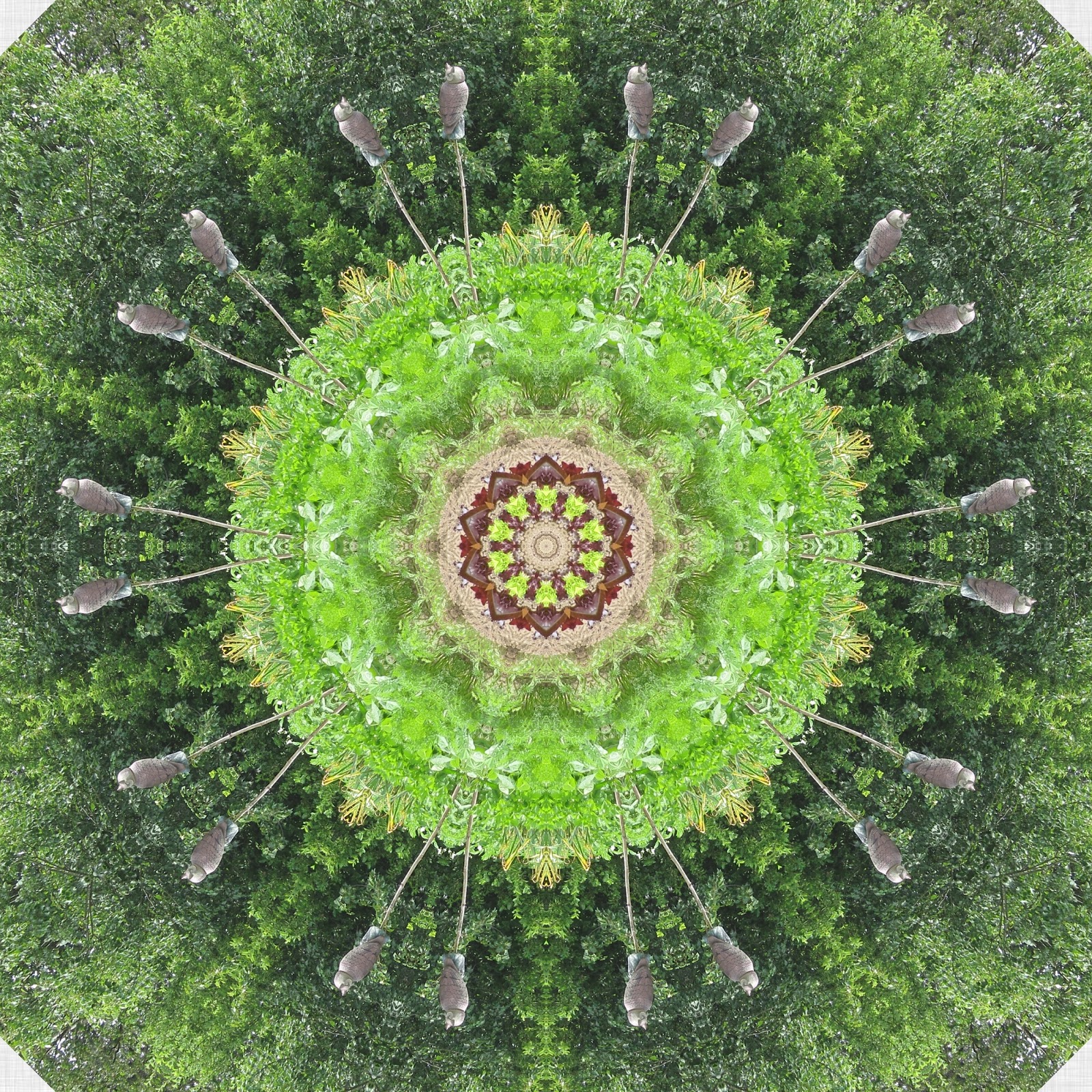 Fab FabricationsKaleidoscopes from Nature Images Emphasizing Geometry